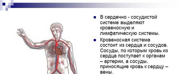 Сердечно-сосудистая система. Кровь. Презентация по анатомии на тему сердечно-сосудистая система подготовила Скачать презентацию тему сердечно сосудистая система