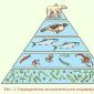 Энергия и свойства пирамиды
